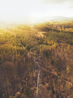 Cestou na Hvíždinec